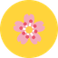 Amaya