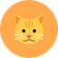 Arsh