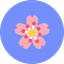 Aryan