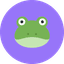 Konn,