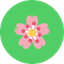 Sohal