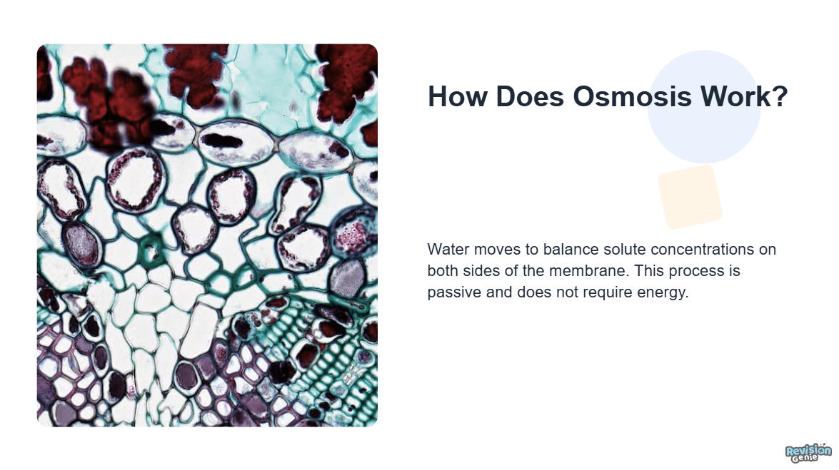 AI generated lesson slide